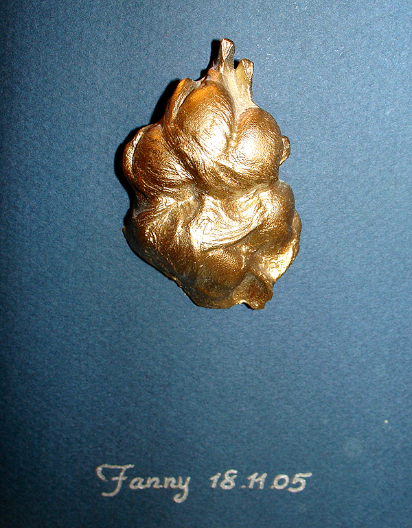 3D Abdruck von babyfusserl.at Tierabdruck